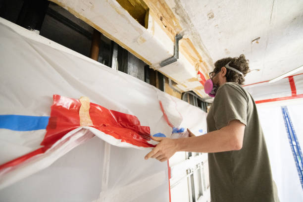 Trusted Dunsmuir, CA Mold Removal Experts