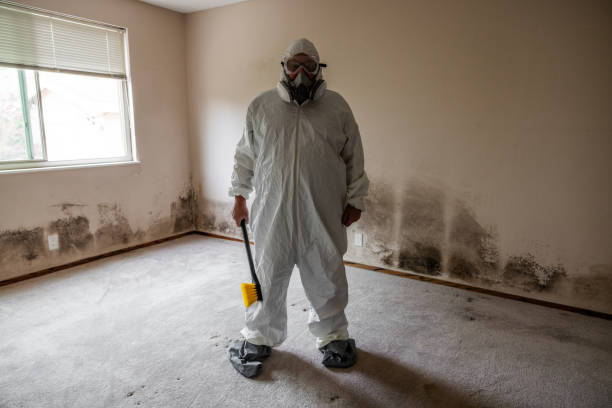 Mold Remediation for Vacation Homes in Dunsmuir, CA